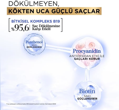 Procyanidin & Biotin Saç Dökülmesine Karşı Anti-Stres Şampuan – Bitkisel Kompleks B19, Parabensiz, Tüm Saç Tipleri, 360 ml