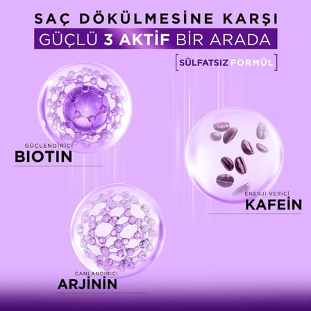 Biotin Kafein Arjinin Şampuan – Saç Dökülmesine Karşı Güçlü Bitkisel Formül, Sülfatsız, BIOCOMPLEX B19 ile, 400 ml