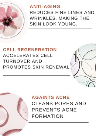Retinol Serum%1 Retinol + B5 Anti - Aging, 30 ml