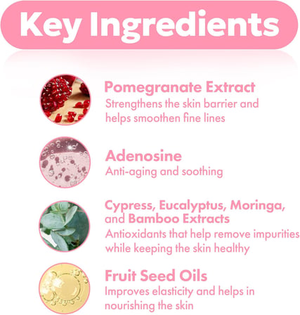 Pomegranate Nutri-Moisturizing Sticky Temzileyici 145 ml