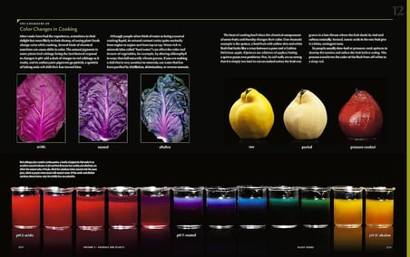 Modernist Cuisine:The Art and Science of Cooking