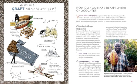 Bean-to-Bar Chocolate: America’s Craft Chocolate Revolution: The Origins, the Makers, and the Mind-Blowing Flavors