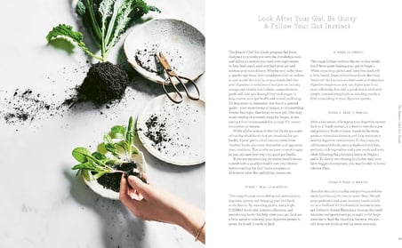 The Beauty Chef Gut Guide: 90+ FODMAP-Friendly Recipes and Weekly Meal Plans to Heal From the Inside Out