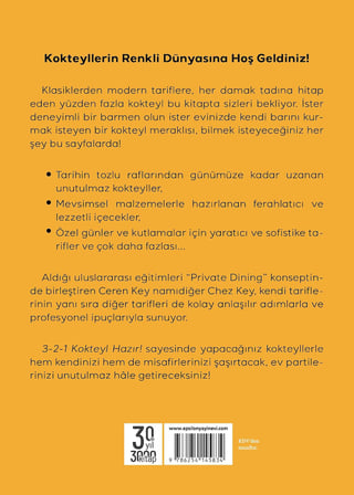 3-2-1 Kokteyl Hazır !: Hazırlaması Kolay Profesyonel Kokteyl Tarifleri