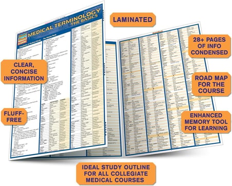 Medical Terminology:The Basics (Quickstudy: Academic)