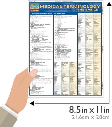 Medical Terminology:The Basics (Quickstudy: Academic)