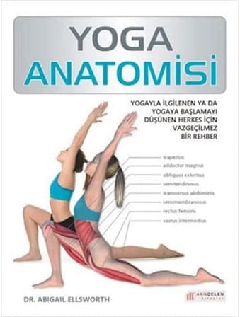 YOGA ANATOMİSİ