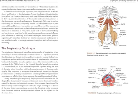 Yoga for Pelvic Floor and Postpartum Health: An Iyengar Yoga Approach to Pelvic Healing and Integrative Wellness through Anatomy and Practice