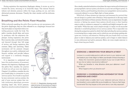 Yoga for Pelvic Floor and Postpartum Health: An Iyengar Yoga Approach to Pelvic Healing and Integrative Wellness through Anatomy and Practice