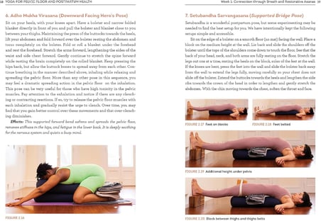 Yoga for Pelvic Floor and Postpartum Health: An Iyengar Yoga Approach to Pelvic Healing and Integrative Wellness through Anatomy and Practice