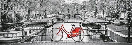 Clementoni Yetişkin Panorama Puzzle Amsterdam Bicycle 1000 Parça 39440