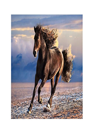 Toys 98325 1000 Parça At Puzzle