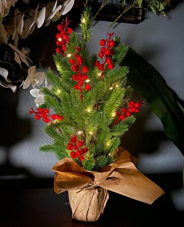 Yılbaşı Ağacı Led Işıklı Kokina Yapay Çam Ağacı Kraft Saksıda 55cm