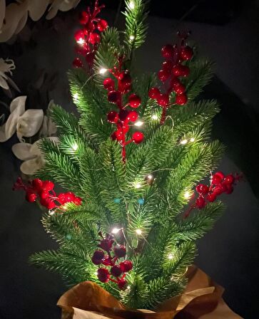 Yılbaşı Ağacı Led Işıklı Kokina Yapay Çam Ağacı Kraft Saksıda 55cm