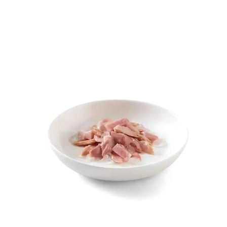Schesir Jelly Ton Balığı ve Jambon Jöle İçinde Yetişkin Kedi Konservesi 85Gr X 6 Adet