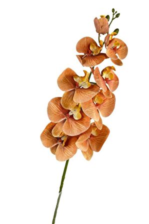 Yapay Çiçek Somon Rengi Islak Orkide Uzun Dal 90 cm Orkide