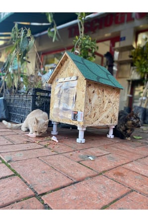Reyo Narım Kedi Evi, Yerden Yüksek Kedi Yuvası, Su ve Isı Yalıtımı İç ve Dış Mekan Kedi Barınağı 
