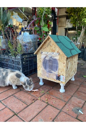 Reyo Narım Kedi Evi, Yerden Yüksek Kedi Yuvası, Su ve Isı Yalıtımı İç ve Dış Mekan Kedi Barınağı 