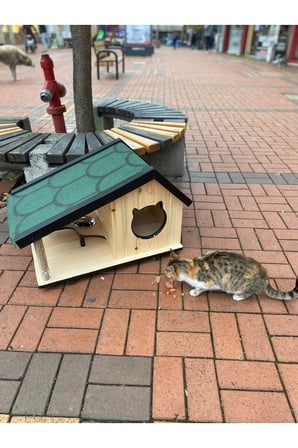 Reyo Narım Ahşap Mama Standlı Tırmalama Tahtalı Özel Tasarım Kedi Barınağı, Kedi Barınağı 74x45 cm