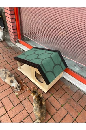 Reyo Narım Ahşap Mama Standlı Tırmalama Tahtalı Özel Tasarım Kedi Barınağı, Kedi Barınağı 74x45 cm