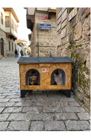 Reyo Narım 2 Kedilik Kedi Evi Su ve Soğuk Yalıtımlı İç ve Dış Mekan Kedi Barınağı