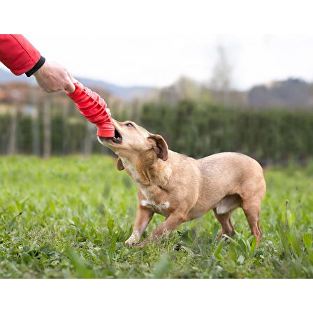 Bama Köpekler İçin Toksit İçermeyen Oyuncak
