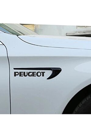 Peugeot 407 Sw  kapı ve çamurluk uyumlu araç markalı aksesuar seti