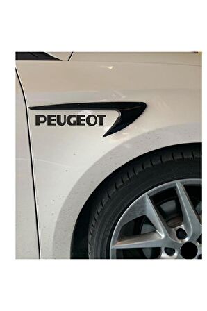 Peugeot 206 Sw  kapı ve çamurluk uyumlu araç markalı aksesuar seti