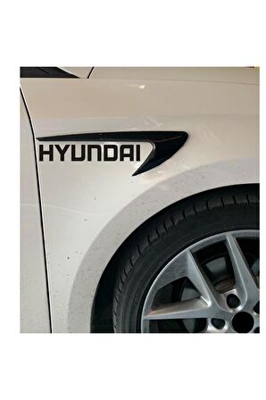 Hyundai Ix55  kapı ve çamurluk uyumlu araç markalı aksesuar seti Uyumlu