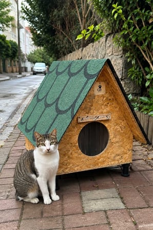 Reyo Narım Bungalov Kedi Evi, Kedi Barınağı Isı ve Suya Dayanıklı Çatı 45x60x70 cm 