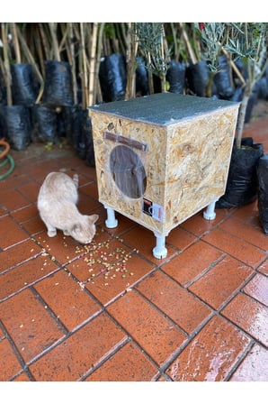 Reyo Narım Dış & Iç Mekan Ahşap Kedi Yuvası, Kedi Barınağı 35x40x35 Monteli Teslimat
