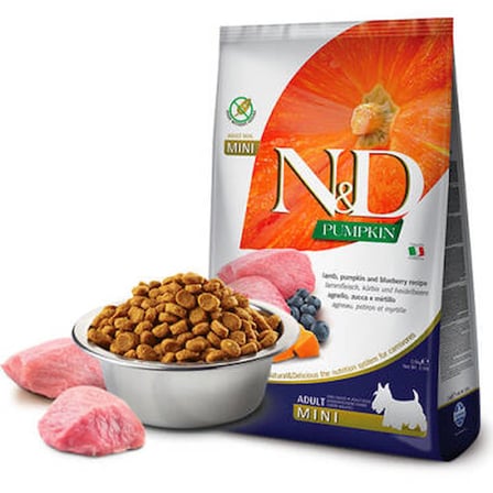 Pumpkin Balkabaklı Kuzulu Yaban Mersinli Küçük Irk Tahılsız Yetişkin Köpek Maması 2,5 Kg