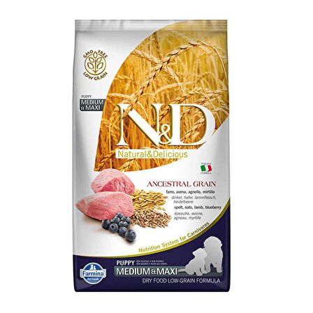 N&D Kuzu Etli-Yaban Mersinli Büyük Irk Yavru Kuru Köpek Maması 2.5 kg