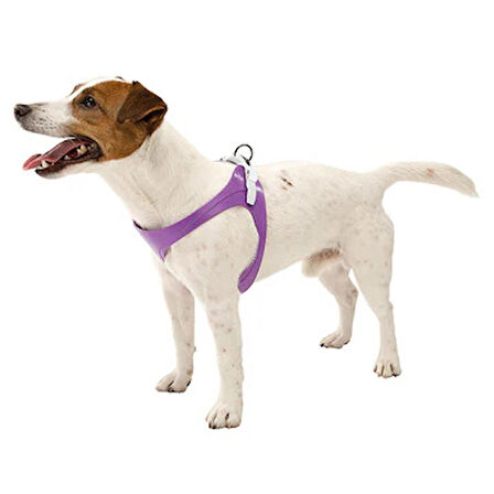 Ferplast Ergoflex P Small Köpek Göğüs Tasması A: 38-46cm B: 41-49cm Yeşil
