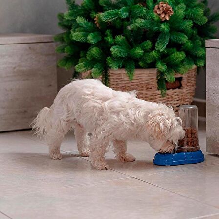 Ferplast Azimut Puppy 600 Hazneli Mama ve Su Kabı