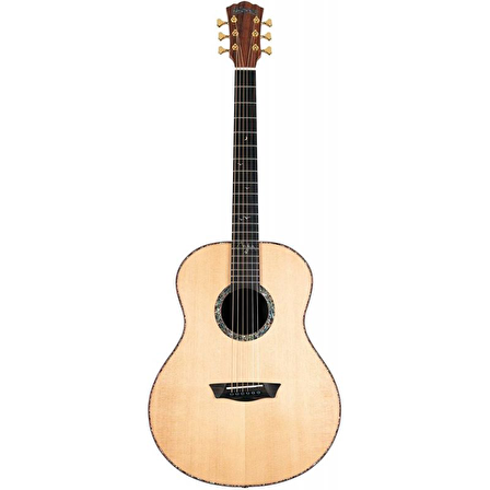 Washburn Bella Tono Elegante S24S Akustik Gitar