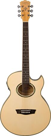 Washburn EA20 Elektro Akustik Gitar