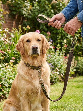 SVGPT Kamuflaj Desenli Naylon Köpek Gezdirme Tasması - Dayanıklı Köpek Kayışı (2x120 CM)
