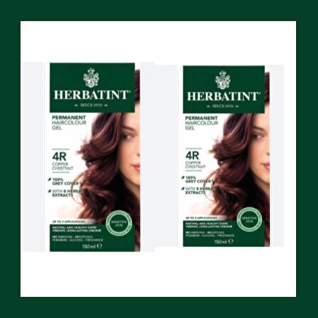 Herbatint 4R Chatain Cuivre Bakır Kahve 150ml.X2Lİ
