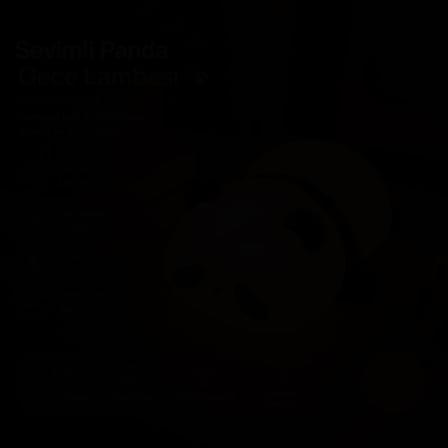 MUITOMAS PANDA FİGÜRÜ SİLİKON  GECE LAMBASI USB-C