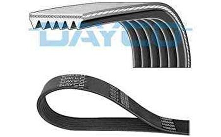 KANALLI KAYIS - DAYCO 6PK1655