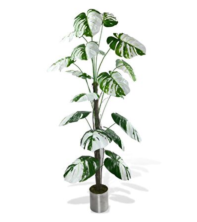 Yapay Ağaç Beyaz Monstera 18 Dallı Çalılı Gövde 120x60cm Gümüş Aleminyum Saksıda