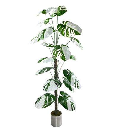 Yapay Ağaç Beyaz Monstera 18 Dallı Çalılı Gövde 120x60cm Gümüş Aleminyum Saksıda