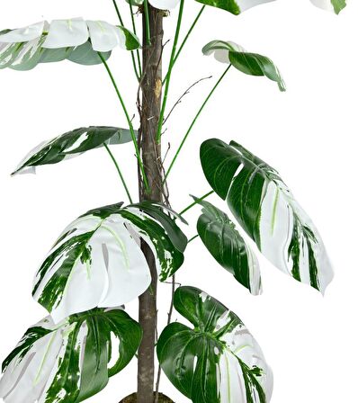 Yapay Ağaç Beyaz Monstera 18 Dallı Çalılı Gövde 120x60cm Gümüş Aleminyum Saksıda