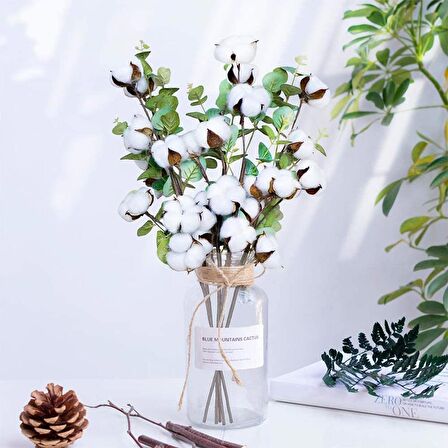 Doğal Pamuk Çiçeği Okaliptuslu 5li Kuru Çiçek Yapay Çiçek