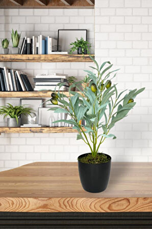 Yapay Zeytin Ağacı Saksıda 40cm 5 Dallı 10 Meyveli Pastel Yapay Çiçek Artificial Olive