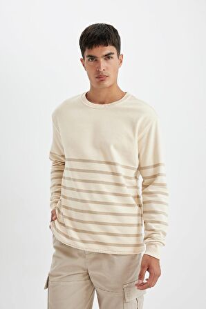 DeFacto Comfort Regular Fit Rahat Kalıp Bisiklet Yaka Çizgili Kalın Sweatshirt D2397AX24AUER42