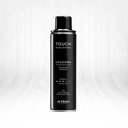 Artego Touch Up And Down Non Aerosol Hairspray 400ml