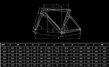 2024 BIANCHI OLTRE PRO DURA-ACE Dİ2 12 VİTES YOL BİSİKLETİ