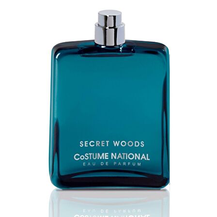 Secret Woods EDP 100 ml Erkek Parfümü